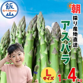 【ふるさと納税】 ＼アスパラガス／ 先行予約 朝採り! 露地栽培 アスパラガス L級サイズ 1kg《出荷時期：2026年5月〜》【長野県 飯山市 信州産 おかず 夕食 肉巻き バーベキュー 春アスパラ 露地栽培 朝採れ 野菜 新鮮 農家直送 産地直送 送料無料 旬野菜 】(Bu)