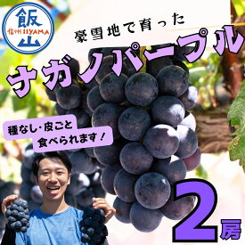 【ふるさと納税】2026年 先行予約 ＼ナガノパープル／ 先行予約 ナガノパープル 2房 約1kg《出荷時期：2026年10月〜》【長野 信州 飯山 ながのぱーぷる ぶどう 葡萄 種なし 皮まで食べれる 果物 フルーツ 農家直送 産地直送 旬 おすすめ 高評価 ギフト 贈答用 】 (Bv-001)