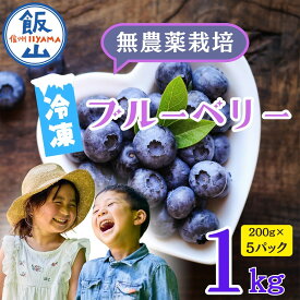 【ふるさと納税】 ＼完熟 冷凍 ブルーベリー／ 1kg 農薬不使用 完熟ブルーベリー姫 【長野県 飯山市 信州 おいしい オススメ 旬 フルーツ 果物 甘酸っぱい 甘い 朝摘み 朝採り期間限定 ジャム ヨーグルト】(Br-003)