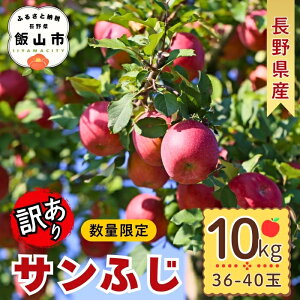 �y�ӂ邳�Ɣ[�Łz�s 12��25���܂ł̂������ŔN������ �t �_ �󂠂� �T���ӂ� �^ 10kg �i2025�N�Y�j�y ��� �����S �ь� �A�b�v�� �K�i�O B�i ��A�� �t���[�c �ʕ� 2025 �N�� ����ӂ� �ӂ� �t�W 