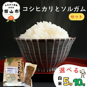 �y�ӂ邳�Ɣ[�Łz�_�I�c�ā^ �R�V�q�J�� �\���K�� �Z�b�g�ߘa7�N�Y ���� �I�ׂ� ���e�� 5kg 10kg ���[�[���n�C���剮 �y ���� �� �R�� ���� ���͂� �R�V�q�J���I�c �I�c�� �Z�b�g ���邪�� �\��