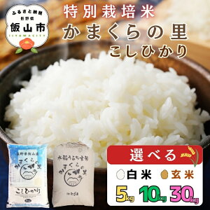 �y�ӂ邳�Ɣ[�Łz�_ ���ʍ͔|�� �^ ���܂���̗� �����Ђ��� �ߘa7�N�Y �I�ׂ� ���e�� ���� 5kg 10kg ���� 30kg �i���j�Ƃ��� �y ���� �� �R�� ���� �R�V�q�J�� ���܂���̗� ���_�� �l�C ������