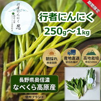 楽天市場】ふるさと納税 行者ニンニクの通販