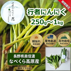 【ふるさと納税】【令和9年産先行予約】行者にんにく 選べる容量 250g / 500g / 1kg 【 行者にんにく 直送 独自栽培 山菜 ビタミン 健康 人気 美味しい オススメ 長野県 飯山市 】