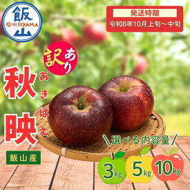 【ふるさと納税】2026年 先行予約 ＼ 訳あり 秋映 （あきばえ）／ 選べる 3kg / 5kg /10kg 長野県産 ＜出荷開始：2026年10月上旬頃〜中旬頃＞【 りんご リンゴ 林檎 フルーツ 果物 信州 規格外 B品 産地直送 新鮮 オススメ 美味しい 長野県 飯山市 】（At)