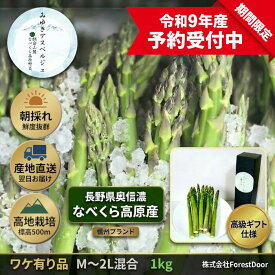 【ふるさと納税】【令和9年産先行予約】＼訳あり／アスパラガス みゆきアスペルジュ 1kg (22〜30本)【 アスパラガス 直送 独自栽培 甘さ 高級 ギフト 人気 美味しい オススメ 規格外 B品 長野県 飯山市 】