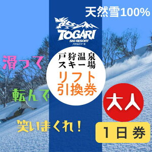 yӂ邳Ɣ[Łzˎ뉷XL[ 1tg 1iT-20jy AEghA Lv XL[ XL[ {[h Ay tg ANeBreB IXX 쌧 юRs Xm[][