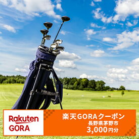 【ふるさと納税】長野県茅野市の対象ゴルフ場で使える楽天GORAクーポン 寄付額10,000円（クーポン額3,000円）