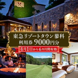 【ふるさと納税】東急リゾートタウン蓼科利用券(1,000円分×9枚)2026年4月1日から6か月間有効チケット【1421663】