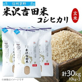 【ふるさと納税】霧ヶ峰高原から伏流水が育んだお米「信州茅野　米沢吉田米」玄米 30kg(10kg×3個)【1454550】