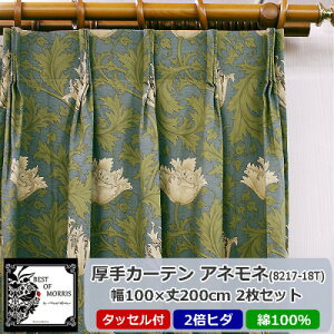 �y�ӂ邳�Ɣ[�Łz��8��ނ���I��!Fabric by �x�X�g�I�u�����X �J�[�e�� ��100×��200cm 2���Z�b�g�yG1481521�z