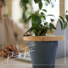 【ふるさと納税】長野県の職人が作成する観葉植物用のテーブル スモールサイズ(20cm)【1549392】