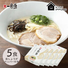 【ふるさと納税】博多一風堂 豚骨ラーメン 白丸1食×5箱 とんこつ博多細麺_ ラーメン 博多一風堂 らーめん 細麺 博多豚骨 豚骨 とんこつ 白丸 名店 ブランド 九州 福岡 一風堂 ご当地 贈答 ギフト おすすめ 人気 送料無料 お取り寄せ 国産 常温 セット 【1558464】