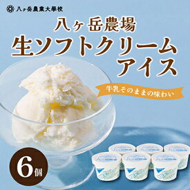 【ふるさと納税】八ヶ岳農場 生ソフトクリームアイス 6個【配送不可地域：離島】【1586194】