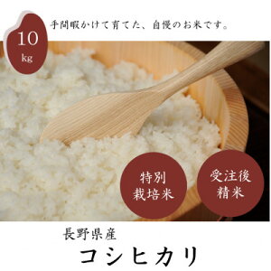 yӂ邳Ɣ[ŁzyVĐs\z쌧Yʍ͔| RVqJ10kgy1651029z