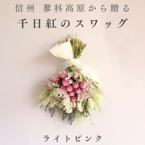 yӂ邳Ɣ[ŁzMBx̘[瑡 g̃hCt[XbOM(CgsN)y1659599z