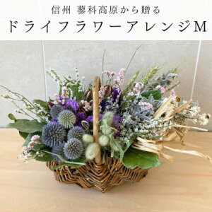 yӂ邳Ɣ[ŁzMBx̘[瑡hCt[AWgM(p[v)y1662052z