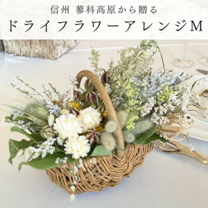 yӂ邳Ɣ[ŁzMBx̘[瑡hCt[AWgM(CG[)y1662053z