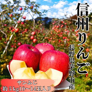 �y�ӂ邳�Ɣ[�Łz�y�����z�T���ӂ� ��5kg 10�`14�� ���쒼�� �M�B�����x ��� ���ȍ����y1692242�z