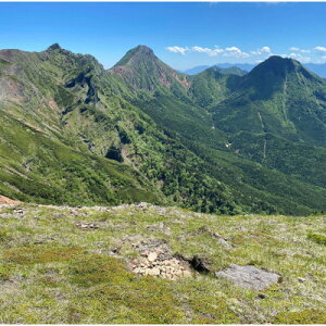 �y�ӂ邳�Ɣ[�Łz�����x�R���E���Ίx�R���E�đ�z��(�����x�R���O���[�v) ���ʏh���� 1���l1��2�H�t�y1694803�z