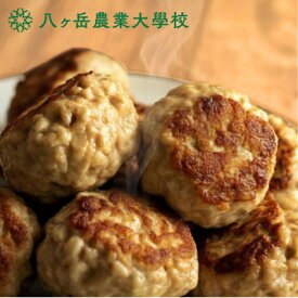 【ふるさと納税】天然由来の飼料にこだわった濃厚なコク。農大生が愛情込めて育てた平飼い親鳥の鶏つくね【1.5kg】【配送不可地域：離島】【1733869】