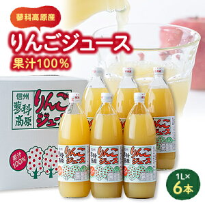 【ふるさと納税】果汁100%りんごジュース 1L×6本【1416317】