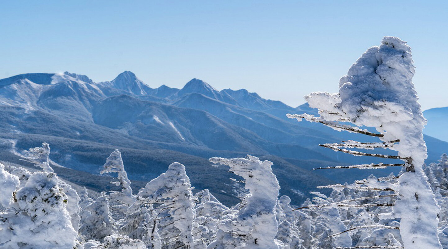 楽天市場 | 長野県茅野市 - ふるさと納税 長野県茅野市
