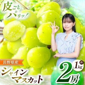 【ふるさと納税】 【2025年 先行予約】 シャインマスカット 2房 計 約 1kg【9月中旬頃より発送予定】 | シャイン ぶどう 葡萄 ブドウ くだもの 果物 フルーツ マスカット しゃいん ますかっと 先行 先行予約 旬 塩尻市 長野 信州