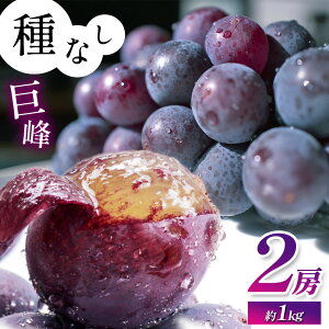 �y�ӂ邳�Ɣ[�Łz�y2026�N��s�z ���쌧�Y ��Ȃ� ���� 2�[ �i �� 1kg �j �y9�����{�ȍ~�����\��z | �ʕ� �������� �t���[�c ���� �Ԃǂ� �u�h�E ���� �햳�� ��Ȃ� ���쌧 ���K�s