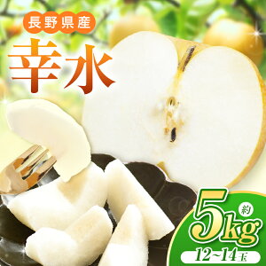 �y�ӂ邳�Ɣ[�Łz�y2026�N��s�\��z���쌧�Y �K�� ��5kg�i 10 �` 14 �� �j�y8�����{�ȍ~�����\��z| �ʕ� �������� �t���[�c �� �Ȃ� �i�V �K�� �V���L�V���L �Â� �����ς� �W���[�V�[ ���쌧 