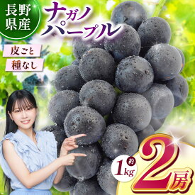 【ふるさと納税】 【9月より順次発送予定】 ナガノパープル（2房） | 果物 くだもの フルーツ 葡萄 ぶどう ブドウ ナガノ パープル 長野県 塩尻市