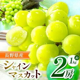 【ふるさと納税】【2026年先行予約】先行予約開始しました！絶品！シャインマスカット 2房【9月下旬～11月にかけて順次発送予定】 | シャイン ぶどう 葡萄 ブドウ くだもの 果物 フルーツ マスカット しゃいん ますかっと 先行 先行予約 旬 塩尻市 長野 信州