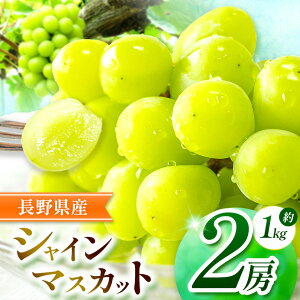 �y�ӂ邳�Ɣ[�Łz�y2026�N��s�\��z��s�\��J�n���܂����I��i�I�V���C���}�X�J�b�g 2�[�y9�����{�`11���ɂ����ď��������\��z | �V���C�� �Ԃǂ� ���� �u�h�E �������� �ʕ� �t���[�c �}