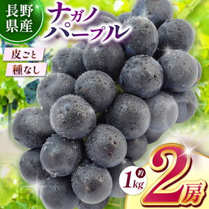 �y�ӂ邳�Ɣ[�Łz�y2026�N��s�\��z �i�K�m�p�[�v���i2�[�j �y9����{�ȍ~���������\��z | �ʕ� �������� �t���[�c ���� �Ԃǂ� �u�h�E �i�K�m �p�[�v�� ���쌧 ���K�s