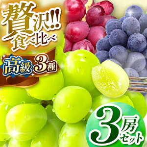 �y�ӂ邳�Ɣ[�Łz�y2026�N��s�\��z �V���C���}�X�J�b�g�E�i�K�m�p�[�v���E�N�C�[�����[�W��R 3�[�Z�b�g �y9�����{�ȍ~�����\��z | �ʕ� �������� �t���[�c ���� �Ԃǂ� �u�h�E �i�K�m �p