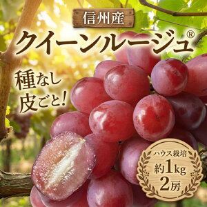 �y�ӂ邳�Ɣ[�Łz�y2026�N��s�\��z��s�\��J�n���܂����I�N�C�[�����[�W��R�i�n�E�X�͔|�j 2�[ ��1kg�y7�����`8�����{�ɂ����ď��������\��z | �V���C�� �Ԃǂ� ���� �u�h�E �������� ��