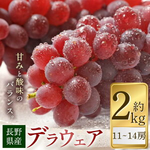 �y�ӂ邳�Ɣ[�Łz�y2026�N��s�\��z�f���E�F�A ��2kg (11�`14�[)�y8�����{�`9�����{�ɂ����ď��������\��z | �Ԃǂ� ���� �u�h�E �������� �ʕ� �t���[�c �f���E�F�A ��s ��s�\�� �{ �M�B ��