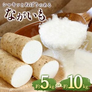 yӂ邳Ɣ[ŁzH@ۂՂIIƂSC 쌧Y Ȃ yIׂeʁz 5`10kgi3{`11{j | Ȃ iKC  ₳ ܂   Ƃ S