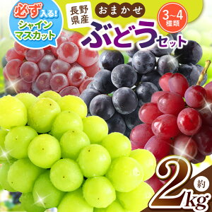 yӂ邳Ɣ[Łzys\zVC}XJbg̓CuhEZbg 2kgyƒpz | VC}XJbg C Zbg Ԃǂ ƒp 쌧 Ks