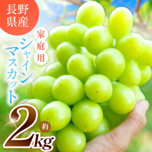 yӂ邳Ɣ[Łzy ƒp zVC}XJbg  2kgy9{`\z | ʕ  t[c  Ԃǂ uhE }XJbg VC}XJbg 쌧 Ks
