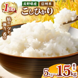 yӂ邳Ɣ[Łz ߘa7NY V MB Ђ Iׂ   5kg`15kg  쌧Y |  RVqJ  2 3   R   MB 5kg 10kg 15kg Ks 쌧 