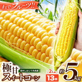 【ふるさと納税】【2026年分先行予約】 極甘スイートコーン 5kg 2L級 13本（高原野菜の名産地　信州しおじり洗馬産）| 野菜 やさい とうもろこし トウモロコシ スイートコーン 長野県 塩尻市