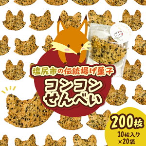 yӂ邳Ɣ[ŁzyMBKzRRׂ 10×20 b  RR ׂ Lcl gَq  Mtg yY А  쌧 Ks