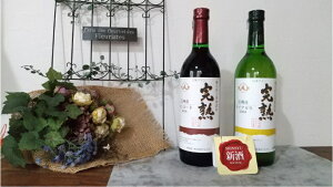 yӂ邳Ɣ[ŁzAvXC k[{[ RR[hiCK  2{Zbg | C   AvXC RR[h iCK 쌧 Ks