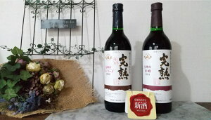 yӂ邳Ɣ[ŁzAvXC k[{[ RR[hihj2{Zbg | C  AvXC RR[h 쌧 Ks