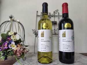 yӂ邳Ɣ[Łz{CRN[ 䓛}XJbgx[A&܃\[rju720ml×e1{ | C   䓛C }XJbgx[A \[rju {CRN