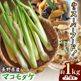 【ふるさと納税】【2026年 先行予約】完全自然栽培マコモダケ 約1kg 【2026年9月中旬～発送予定】|マコモダケ まこもだけ マコモ たけのこ トウモロコシ 長野県 塩尻市