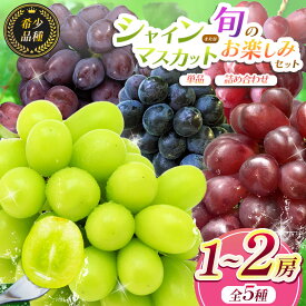 【ふるさと納税】【2026年 先行予約】 選べる！有機肥料栽培 シャインマスカット（単品 or セット）10月上旬頃発送開始 | 果物 くだもの フルーツ 葡萄 ぶどう シャインマスカット 希少 マイハート BKシードレス 富士の輝き 我が道 クイーンルージュ® 長野県 塩尻市