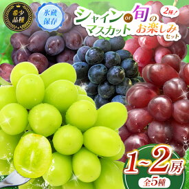 【ふるさと納税】 【2026年1月末まで発送してます♪♪】選べる！【甘みが増す完熟 氷蔵保存】 シャインマスカット（単品 or セット） | 果物 くだもの フルーツ 葡萄 ぶどう ブドウ シャインマスカット 希少 マイハート BKシードレス 富士の輝き クイーンルージュ® 長野県