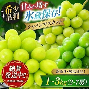 yӂ邳Ɣ[Łzy2026N1܂ŔĂ܂zIׂI󂠂 VC}XJbg 1kg`3kg (2`7[) Â݂n Xۑ L@엿͔| | ʕ  t[c  Ԃǂ 